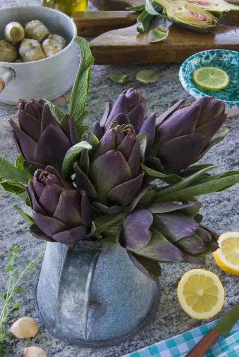 Framed Print : Artichokes, Italy, Europe Framed Print : Artichokes, Italy, Europe