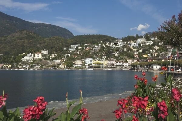Ascona, Locarno, Lake Maggiore, Ticino, Switzerland, Europe