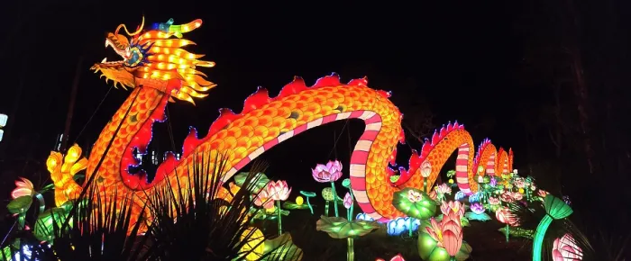 Framed Print : Asian Lantern Festival, Central Florida Zoo, United States of America