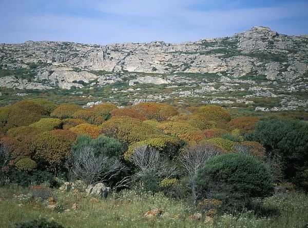Asinara, Sardinia