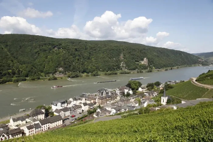 Framed Print : Assmannshausen, Rhine Valley, Hesse, Germany, Europe Framed Print : Assmannshausen, Rhine Valley, Hesse, Germany, Europe