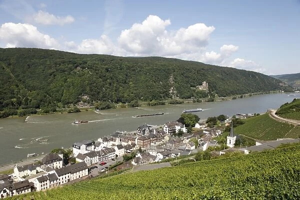 Assmannshausen, Rhine Valley, Hesse, Germany, Europe