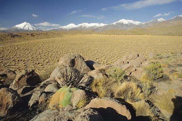 The Atacama Desert and snow capped Andes beyond, San Pedro de Atacama region