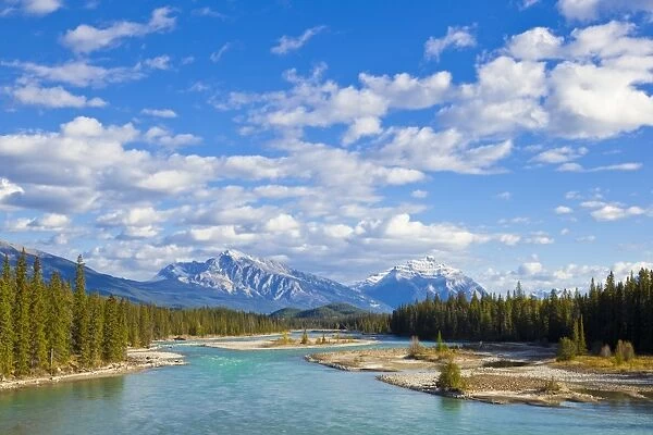 The Athabasca River flowing through Jasper National Park, UNESCO World Heritage Site, outside the town of Jasper, Alberta, Canadian Rockies, Canada, North America