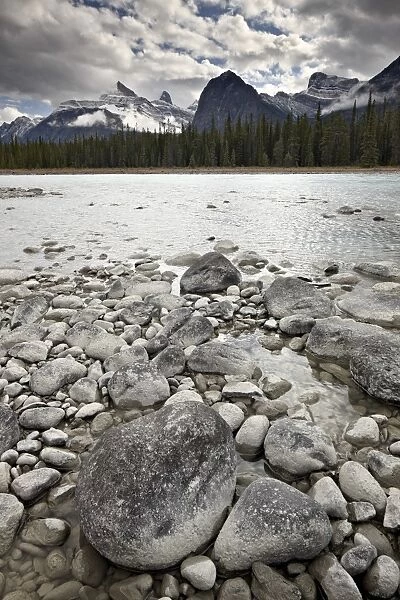 Athabasca River, Jasper National Park, UNESCO World Heritage Site, Alberta, Canada, North America