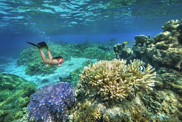 An athletic woman free-diving through a colorful reef of French Polynesia