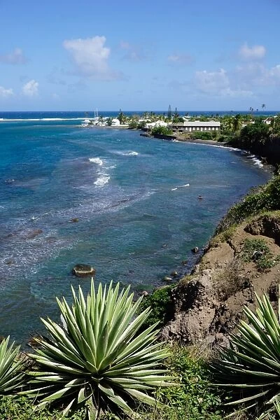 Atlantic coast, St. Kitts, St. Kitts and Nevis, Leeward Islands, West Indies, Caribbean
