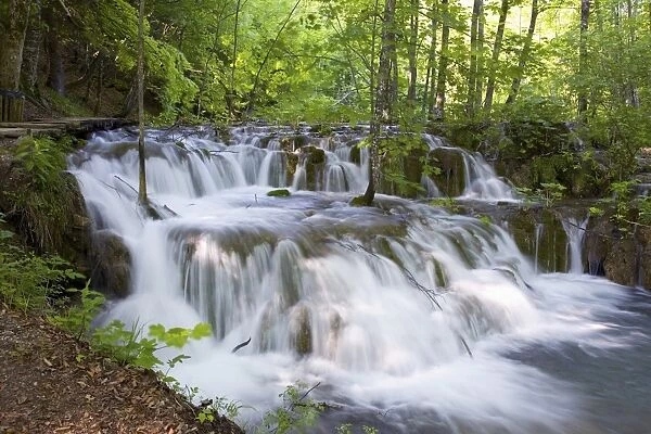Attractive cascades amongst woodland, Plitvice Lakes National Park (Plitvicka Jezera)