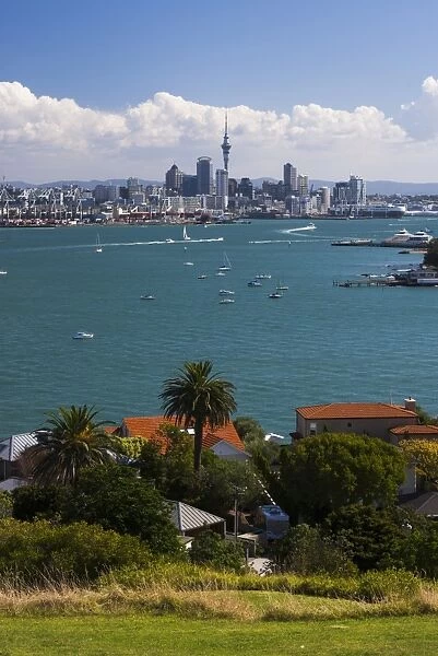 Auckland City skyline and Auckland Harbour seen from Devenport, North Island, New Zealand
