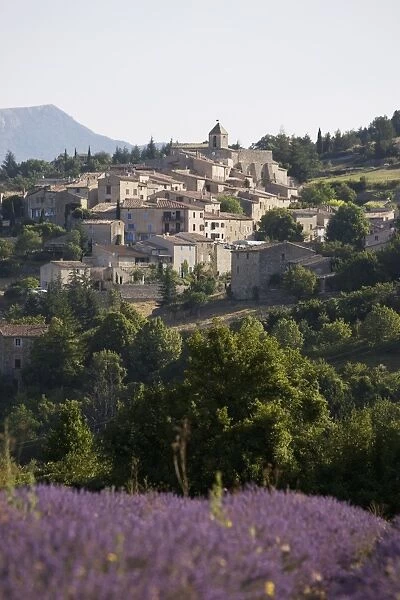Aurel, Vaucluse, Provence, France, Europe