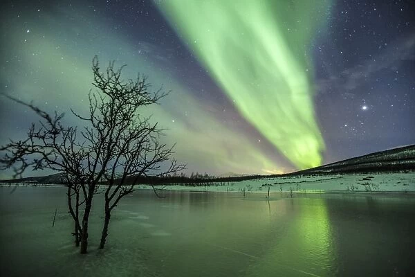 Aurora Borealis on the frozen lagoon of Jaegervatnet, Stortind, Lyngen Alps, Troms