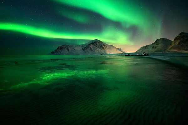 Aurora Borealis (Northern Lights) above Flakstad Beach, Lofoten Islands, Nordland