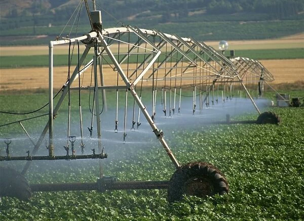 Automated irrigation system, Galilee, Israel, Middle East