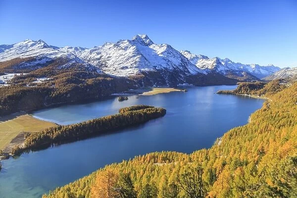 Autumn approaching at Lake Sils near St. Moritz in Engadine, where Piz la Margna is already covered in snow, Graubunden, Swiss Alps, Switzerland, Europe