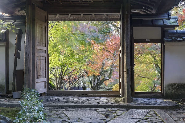 Autumn color in Anraku-ji temple in Kyoto, Japan, Asia