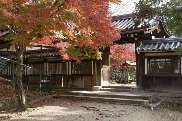 Framed Print : Autumn color around Daikoku-den Hall in Nara, Japan, Asia Framed Print : Autumn color around Daikoku-den Hall in Nara, Japan, Asia