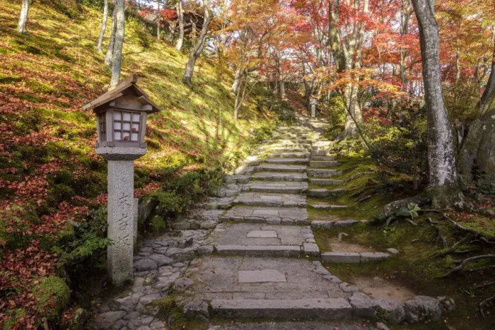 Framed Print : Autumn color in Jojakko-ji Temple in Arashiyama, Kyoto, Japan, Asia Framed Print : Autumn color in Jojakko-ji Temple in Arashiyama, Kyoto, Japan, Asia