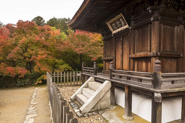 Autumn color in Jojakko-ji Temple in Arashiyama, Kyoto, Japan, Asia