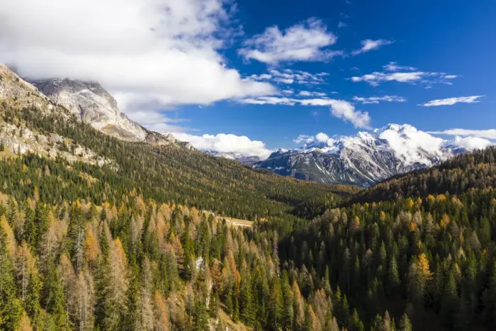 Framed Print : Autumn color near to Cortina d Ampezzo in the Dolomites, Veneto, Italy, Europe Framed Print : Autumn color near to Cortina d Ampezzo in the Dolomites, Veneto, Italy, Europe