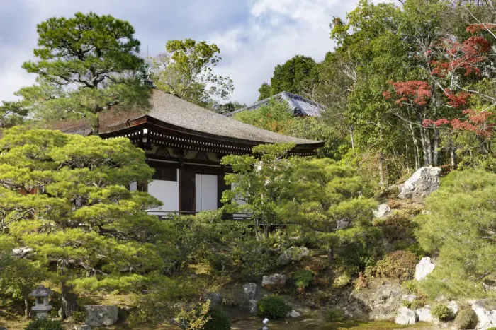 Framed Print : Autumn color in Ninna-ji Temple, founded in 888, UNESCO World Heritage Site, Kyoto Framed Print : Autumn color in Ninna-ji Temple, founded in 888, UNESCO World Heritage Site, Kyoto