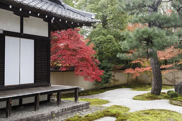 Autumn color in Rozanji Temple in Kyoto, Japan, Asia