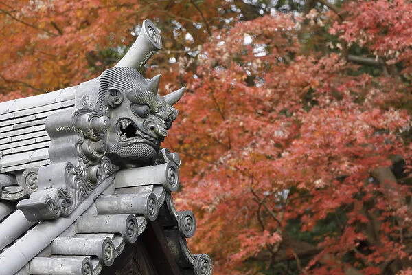 Autumn color around Todaiji Hokkedo in Nara, Japan, Asia