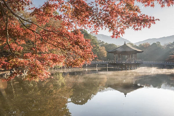 Autumn color around Ukimido pavilion on the Sagiike Pond, Nara Park, Nara, Japan, Asia