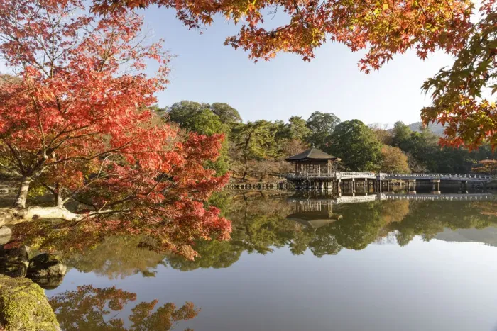 Framed Print : Autumn color around Ukimido pavilion on the Sagiike Pond, Nara Park, Nara, Japan, Asia