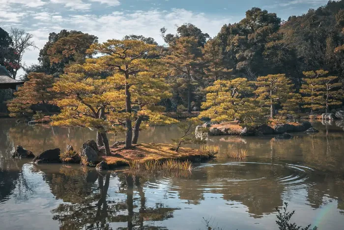 Framed Print : Autumn colored trees over a pond in a Japanese temple garden, Kyoto, Honshu, Japan, Asia Framed Print : Autumn colored trees over a pond in a Japanese temple garden, Kyoto, Honshu, Japan, Asia