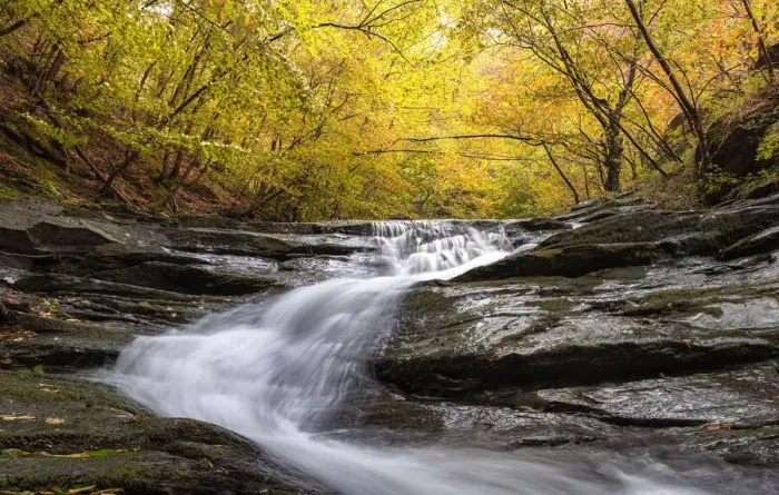 Framed Print : Autumn colors and foliage in a forest with a waterfall flowing between rocks, Emilia Romagna, Italy, Europe Framed Print : Autumn colors and foliage in a forest with a waterfall flowing between rocks, Emilia Romagna, Italy, Europe