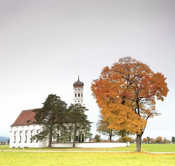 Autumn colors and trees surround St. Coloman Church at sunrise, Schwangau, Bavaria