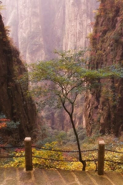Autumn colors, Xihai (West Sea) Valley, Mount Huangshan (Yellow Mountain)