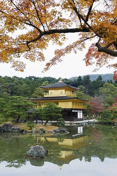 Autumn colour leaves, Golden Temple, Kinkaku ji (Kinkakuji), dating from 1397
