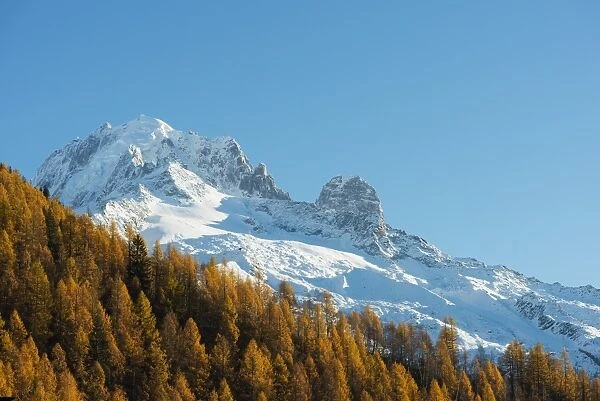 Autumn colours below Aiguille Verte, 4121m, Chamonix, Rhone Alpes, Haute Savoie, French Alps, France, Europe