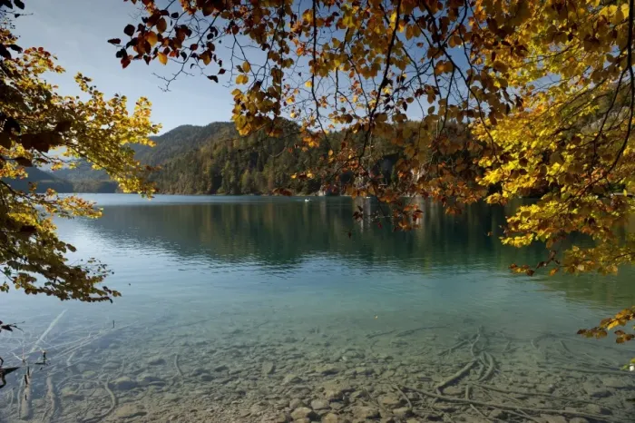 Framed Print : Autumn colours at alpine Alpsee Lake, Schwangau, Bavaria, Germany, Europe Framed Print : Autumn colours at alpine Alpsee Lake, Schwangau, Bavaria, Germany, Europe