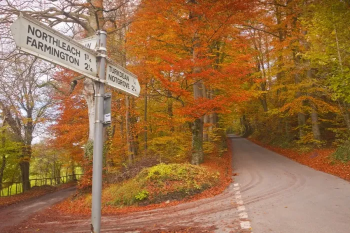 Framed Print : Autumn colours in the beech trees on the road to Turkdean in the Cotwolds, Gloucestershire, England, United Kingdom, Europe Framed Print : Autumn colours in the beech trees on the road to Turkdean in the Cotwolds, Gloucestershire, England, United Kingdom, Europe