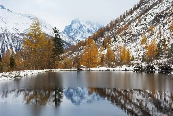 Autumn colours at Col de Montet lake, Chamonix, Rhone Alps, Haute Savoie, French Alps, France, Europe