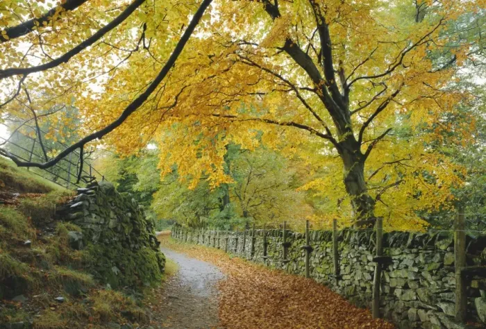 Framed Print : Autumn colours near Grasmere, Lake District National Park, Cumbria, England, UK Framed Print : Autumn colours near Grasmere, Lake District National Park, Cumbria, England, UK