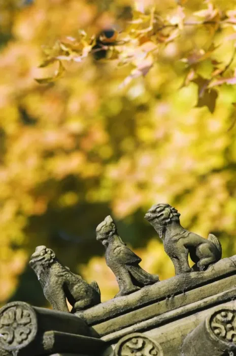 Framed Print : Autumn colours and ornamental Chinese style decorative figures on a pavilion in Ritan Park Framed Print : Autumn colours and ornamental Chinese style decorative figures on a pavilion in Ritan Park