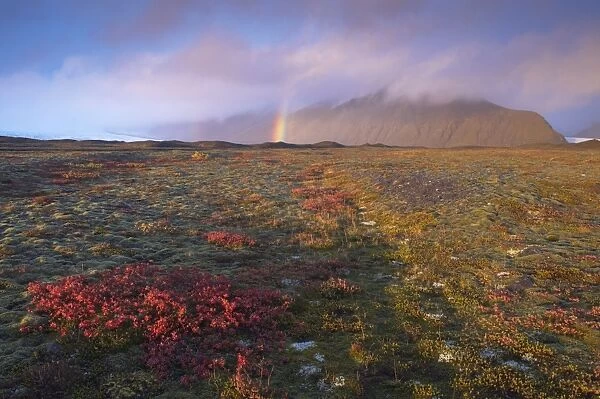 Autumn colours and rainbow over Illuklettar near Skaftafellsjokull glacier seen in the distance