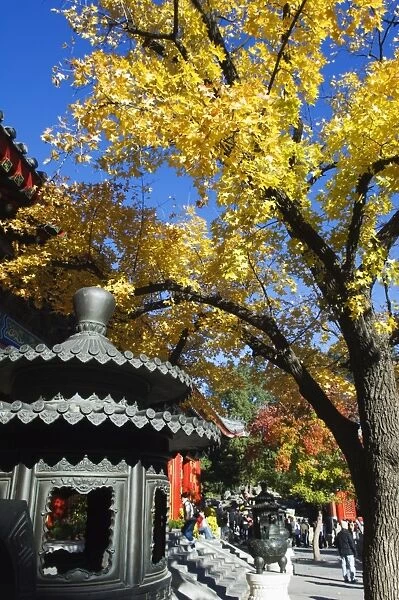 Autumn colours at a temple in Fragrant Hills Park in the Western Hills