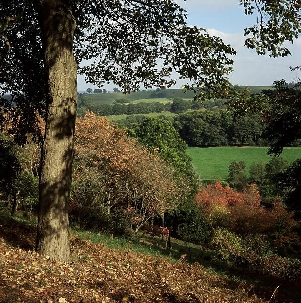 Autumn colours, Winkworth Arboretum, Surrey, England, United Kingdom, Europe
