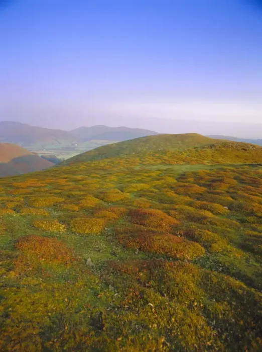 Framed Print : Autumn evening n the Long Mynd, Shropshire, England Framed Print : Autumn evening n the Long Mynd, Shropshire, England