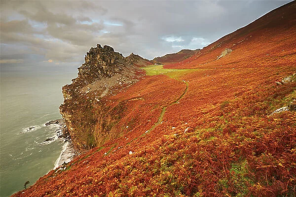 An autumn evening view of the cliffs and rocks at the Valley of Rocks, north Devon coast near Lynton, Exmoor National Park, Devon, England, United Kingdom, Europe