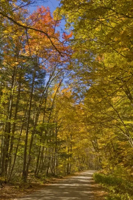 Framed Print : Autumn fall colours, Vermont back country road near West Arlington, Virginia Framed Print : Autumn fall colours, Vermont back country road near West Arlington, Virginia