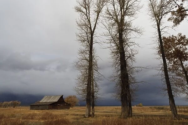 Autumn (fall) storm approaches, Mormon Row barn, Antelope Flats, Grand Teton National Park, Wyoming, United States of America, North America