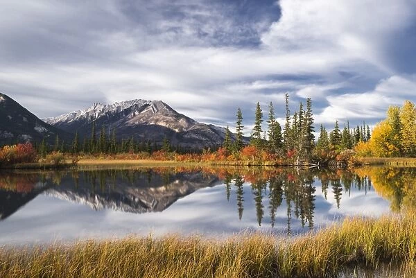 Autumn foliage and mountain lake, Jasper National Park, UNESCO World Heritage Site