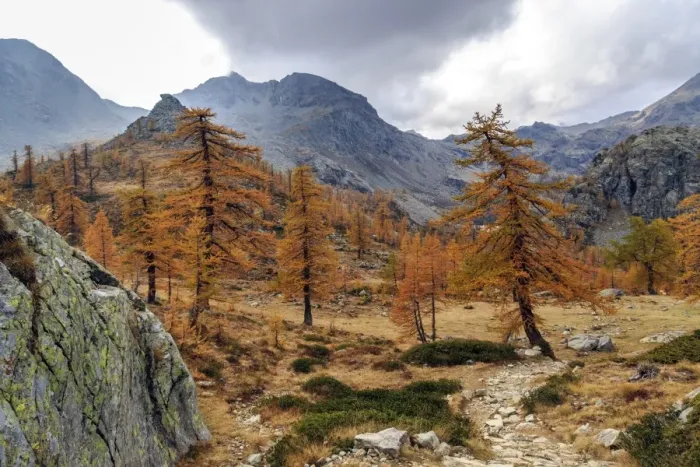 Framed Print : Autumn landscape at the Natural Park of Mont Avic, Aosta Valley, Graian Alps, Italy Framed Print : Autumn landscape at the Natural Park of Mont Avic, Aosta Valley, Graian Alps, Italy
