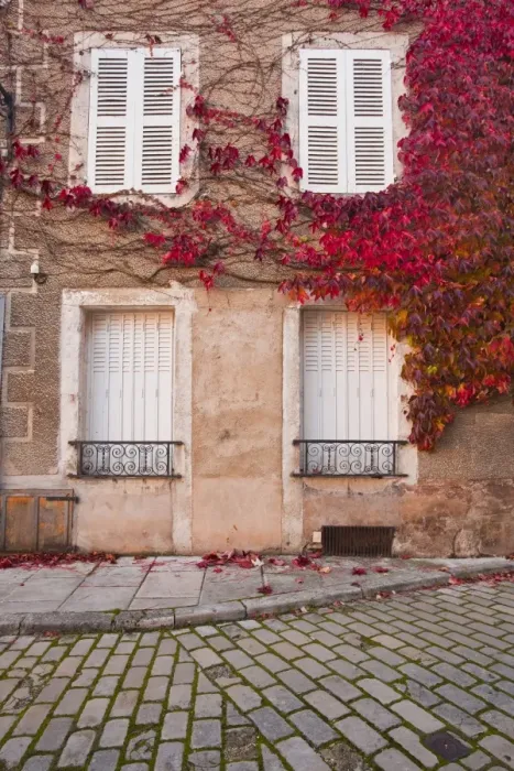 Framed Print : Autumn leaves in Noyers-sur-Serein, one the Beaux Villages de France, Yonne, Burgundy, France, Europe Framed Print : Autumn leaves in Noyers-sur-Serein, one the Beaux Villages de France, Yonne, Burgundy, France, Europe