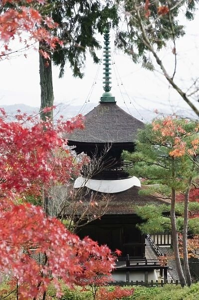 Autumn maple leaves at the 16th century Jojakko ji (Jojakkoji) Temple, Arashiyama Sagano area
